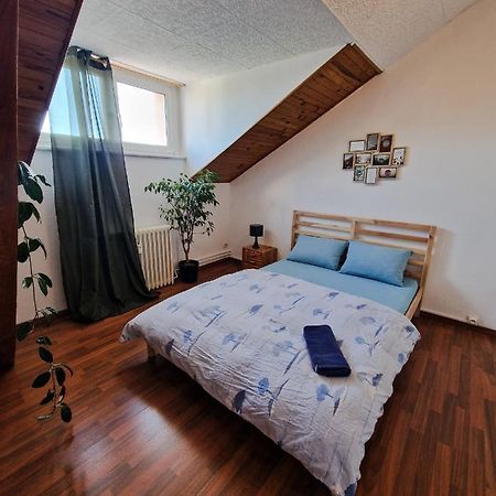 Nice Room 4 Minutes From Basel Shared Apartment Сен-Луї Екстер'єр фото