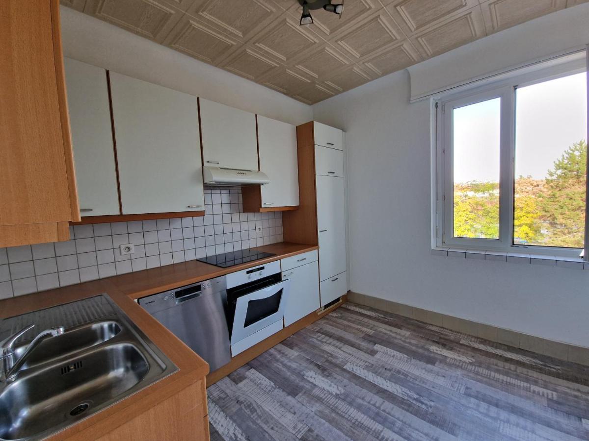 Nice Room 4 Minutes From Basel Shared Apartment Сен-Луї Екстер'єр фото