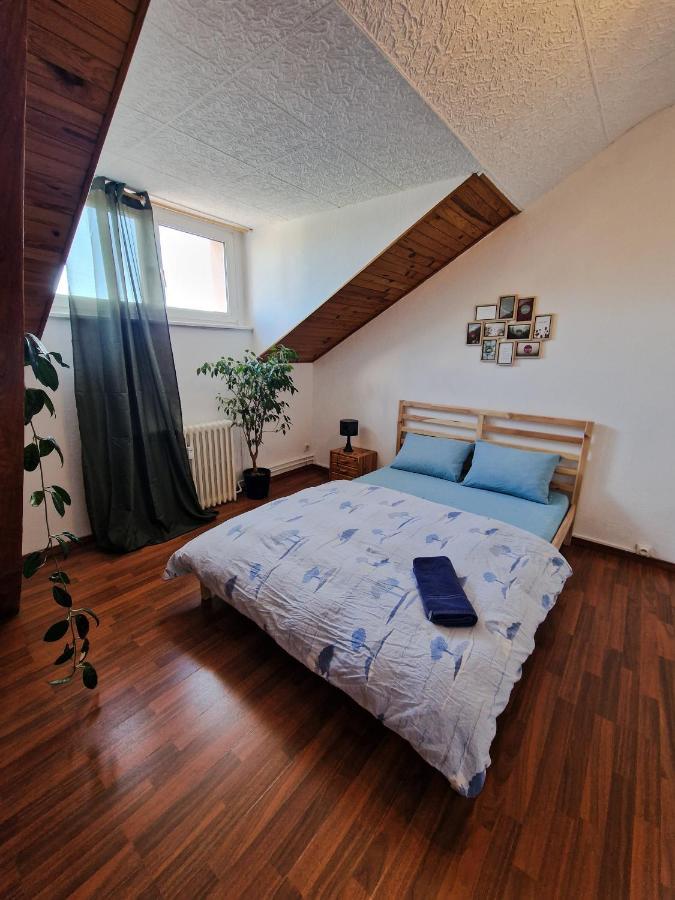 Nice Room 4 Minutes From Basel Shared Apartment Сен-Луї Екстер'єр фото