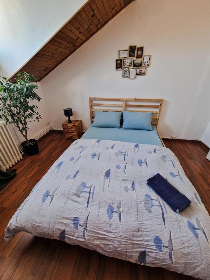 Nice Room 4 Minutes From Basel Shared Apartment Сен-Луї Екстер'єр фото