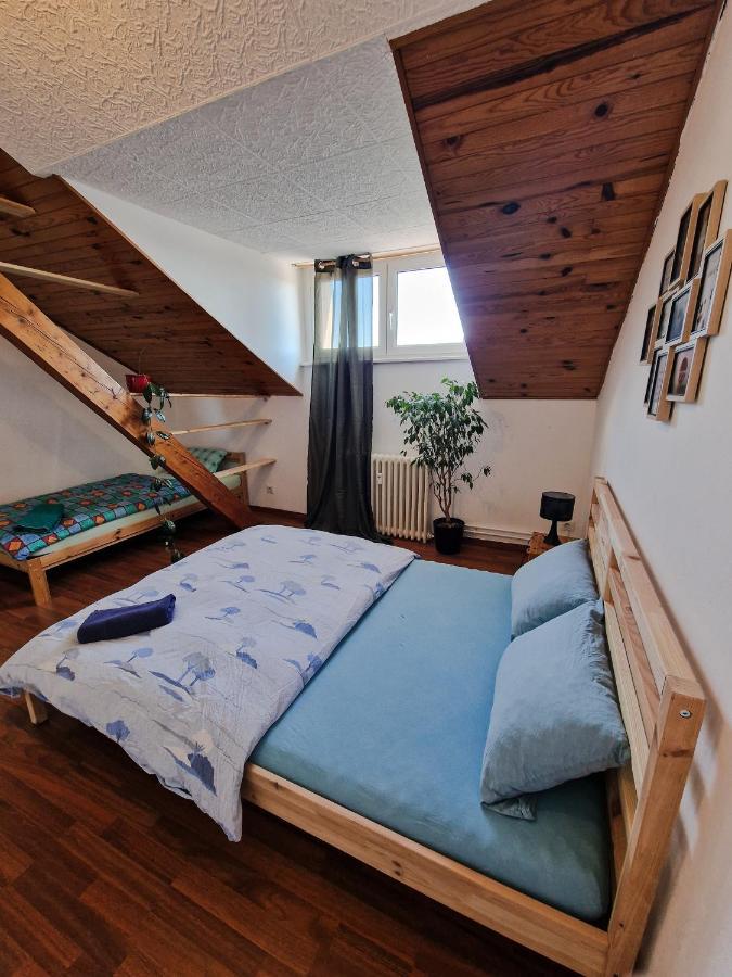 Nice Room 4 Minutes From Basel Shared Apartment Сен-Луї Екстер'єр фото